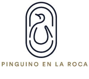 Pinguino en la Roca